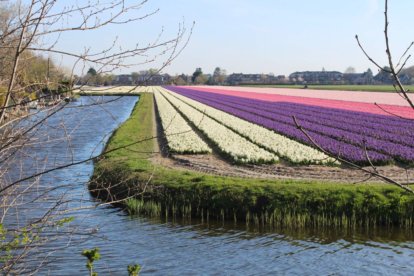 Foto: Zanderij Hillegom.